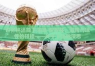 世界杯还能下注吗-世界杯，激情与理性的碰撞——关于下注的深思