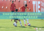 亚足联世界杯下注官网-亚足联世界杯，激情与策略并重的体育盛宴