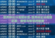 世界杯比分竞猜彩票-世界杯比分竞猜彩票，激情与智慧的碰撞