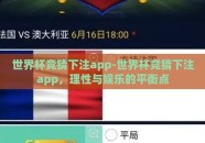 世界杯竞猜下注app-世界杯竞猜下注app，理性与娱乐的平衡点