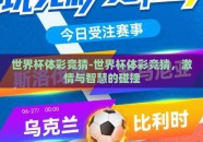 世界杯体彩竞猜-世界杯体彩竞猜，激情与智慧的碰撞