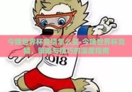 今晚世界杯竞猜怎么买-今晚世界杯竞猜，策略与技巧的深度指南
