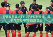 亚足联世界杯下注-亚足联世界杯，激情与策略并存的足球盛宴