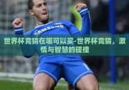 世界杯竞猜在哪可以买-世界杯竞猜，激情与智慧的碰撞