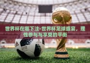 世界杯在哪下注-世界杯足球盛宴，理性参与与享受的平衡