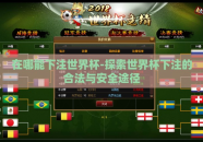 在哪能下注世界杯-探索世界杯下注的合法与安全途径