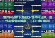 世界杯足球下注盘口-世界杯足球，理性与激情的博弈——下注盘口解析