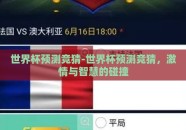 世界杯预测竞猜-世界杯预测竞猜，激情与智慧的碰撞