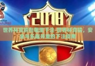 世界杯竞猜在哪里下注-世界杯竞猜，安全与乐趣并重的下注指南