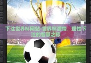 下注世界杯网站-世界杯激情，理性下注的智慧之旅