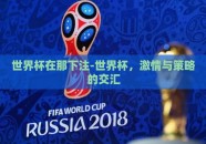 世界杯在那下注-世界杯，激情与策略的交汇