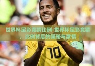 世界杯足彩竞猜比例-世界杯足彩竞猜，比例背后的策略与激情