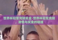 世界杯冠军竞猜奖金-世界杯冠军竞猜，激情与奖金的碰撞