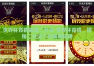 世界杯竞猜骗局二分法-世界杯竞猜，揭秘二分法下的骗局陷阱