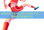 世界杯下注是什么意思-世界杯下注，一场激情与策略的交织