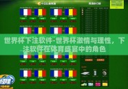 世界杯下注软件-世界杯激情与理性，下注软件在体育盛宴中的角色