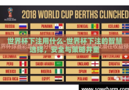 世界杯下注用什么-世界杯下注的智慧选择，安全与策略并重