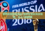 世界杯如何买竞彩-世界杯竞彩购买指南，从入门到精通