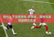 用什么下注世界杯-世界杯，理性与激情的投注艺术