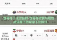 世界杯下注微信群-世界杯激情与理性，微信群下的足球下注探讨