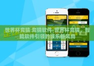 世界杯竞猜 竞猜软件-世界杯竞猜，智能软件引领的娱乐新风尚