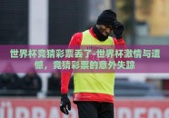 世界杯竞猜彩票丢了-世界杯激情与遗憾，竞猜彩票的意外失踪