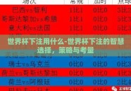 世界杯下注用什么-世界杯下注的智慧选择，策略与考量