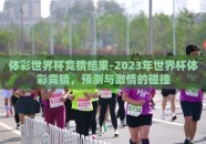 体彩世界杯竞猜结果-2023年世界杯体彩竞猜，预测与激情的碰撞