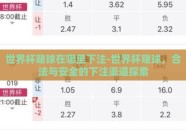世界杯赌球在哪里下注-世界杯赌球，合法与安全的下注渠道探索