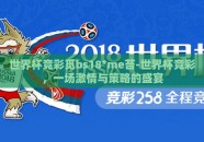 世界杯竞彩觅bs18*me苔-世界杯竞彩，一场激情与策略的盛宴