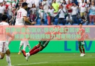 世界杯盘口回水-世界杯盘口回水，足球赛事的独特魅力与策略分析
