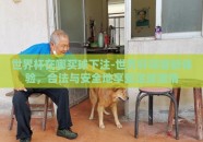 世界杯在哪买球下注-世界杯观赛新体验，合法与安全地享受足球激情