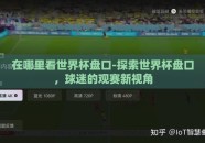 在哪里看世界杯盘口-探索世界杯盘口，球迷的观赛新视角