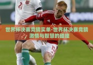 世界杯决赛竞猜实单-世界杯决赛竞猜，激情与智慧的碰撞
