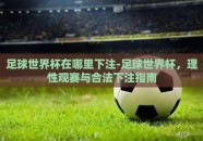 足球世界杯在哪里下注-足球世界杯，理性观赛与合法下注指南