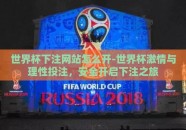 世界杯下注网站怎么开-世界杯激情与理性投注，安全开启下注之旅