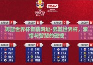 男篮世界杯竞猜网址-男篮世界杯，激情与智慧的碰撞