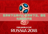 世界杯下注用什么-世界杯下注，理性与激情的平衡
