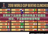 世界杯下注金额-世界杯热潮下的理性投注，下注金额的智慧考量