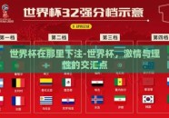 世界杯在那里下注-世界杯，激情与理性的交汇点