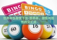 世界杯在那里下注-世界杯，激情与理性的交汇点