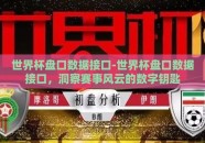世界杯盘口数据接口-世界杯盘口数据接口，洞察赛事风云的数字钥匙