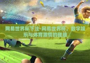 网易世界杯下注-网易世界杯，数字娱乐与体育激情的碰撞