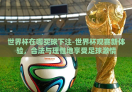 世界杯在哪买球下注-世界杯观赛新体验，合法与理性地享受足球激情