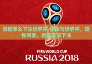微信怎么下注世界杯-微信与世界杯，理性观赛，远离非法下注