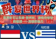 世界杯可以竞猜-世界杯，激情与智慧的碰撞——竞猜的魅力