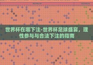 世界杯在哪下注-世界杯足球盛宴，理性参与与合法下注的指南