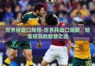 世界杯盘口推荐-世界杯盘口策略，精准预测的智慧之选