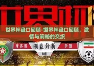 世界杯盘口回顾-世界杯盘口回顾，激情与策略的交织