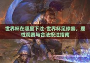 世界杯在哪里下注-世界杯足球赛，理性观赛与合法投注指南